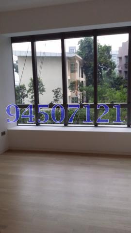 Leedon Residence (D10), Condominium #80619322